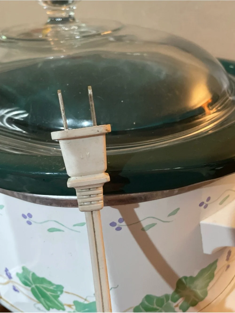Rival crock pot